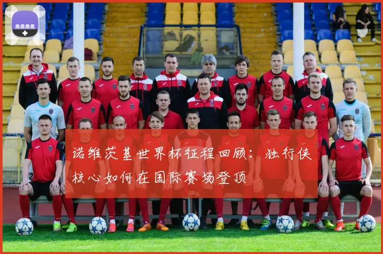 诺维茨基世界杯征程回顾:独行侠核心如何在国际赛场登顶
