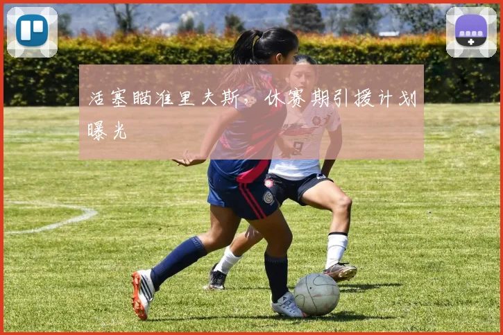 活塞瞄准里夫斯,休赛期引援计划曝光