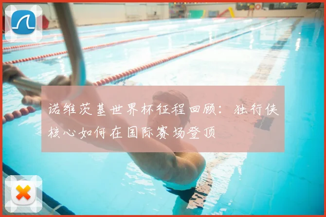 诺维茨基世界杯征程回顾:独行侠核心如何在国际赛场登顶